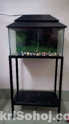 একুরিয়াম